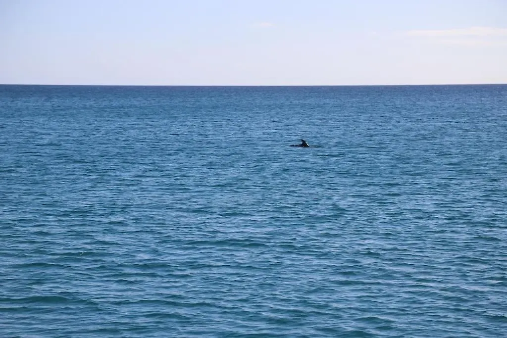 Appartamento Ocean Flat Cagliari 0*,